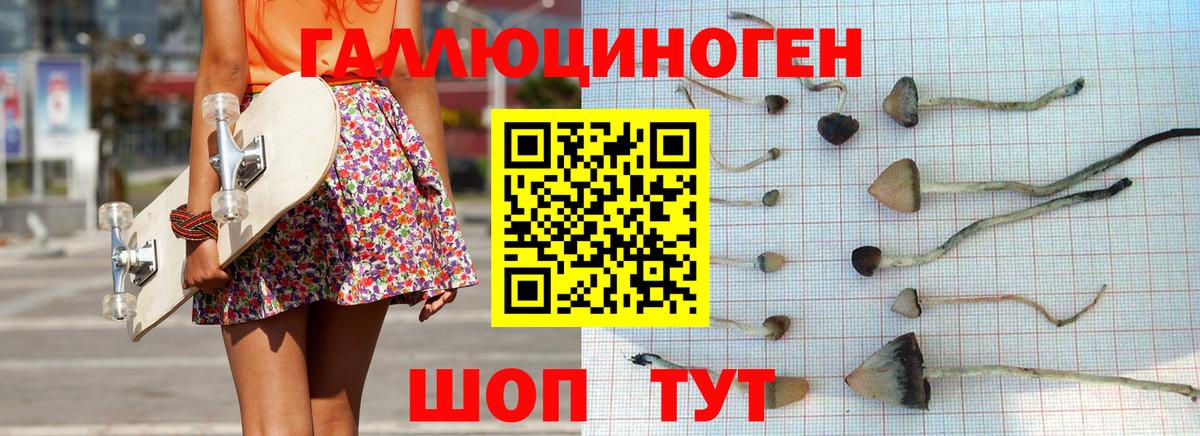 Кудымкар  Галлюциногенные грибы MAGIC MUSHROOMS  Вход с VPN  Псилоцибиновые грибы прущие грибы 