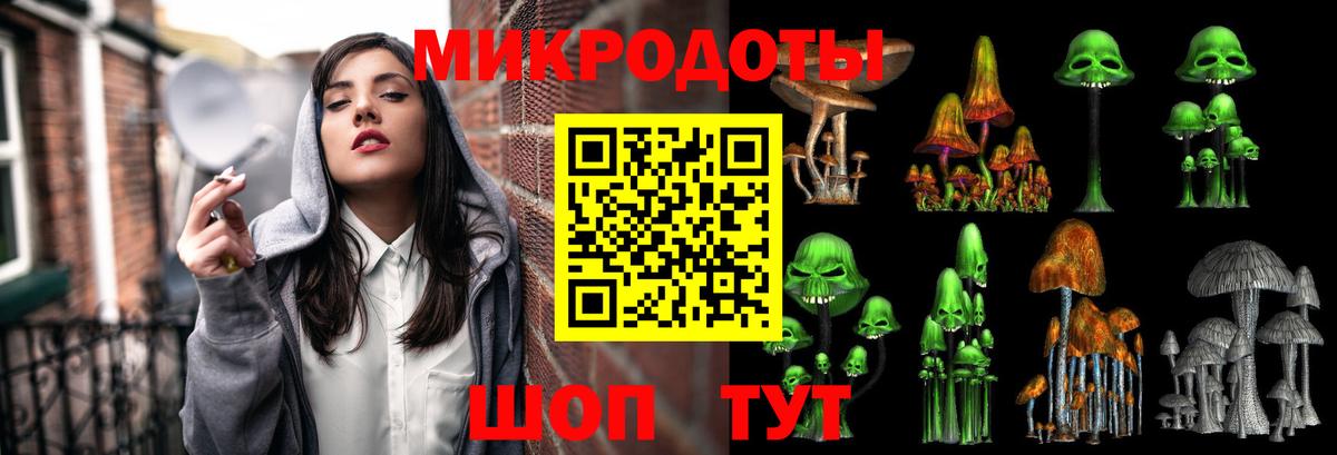 Псилоцибиновые грибы прущие грибы Кудымкар